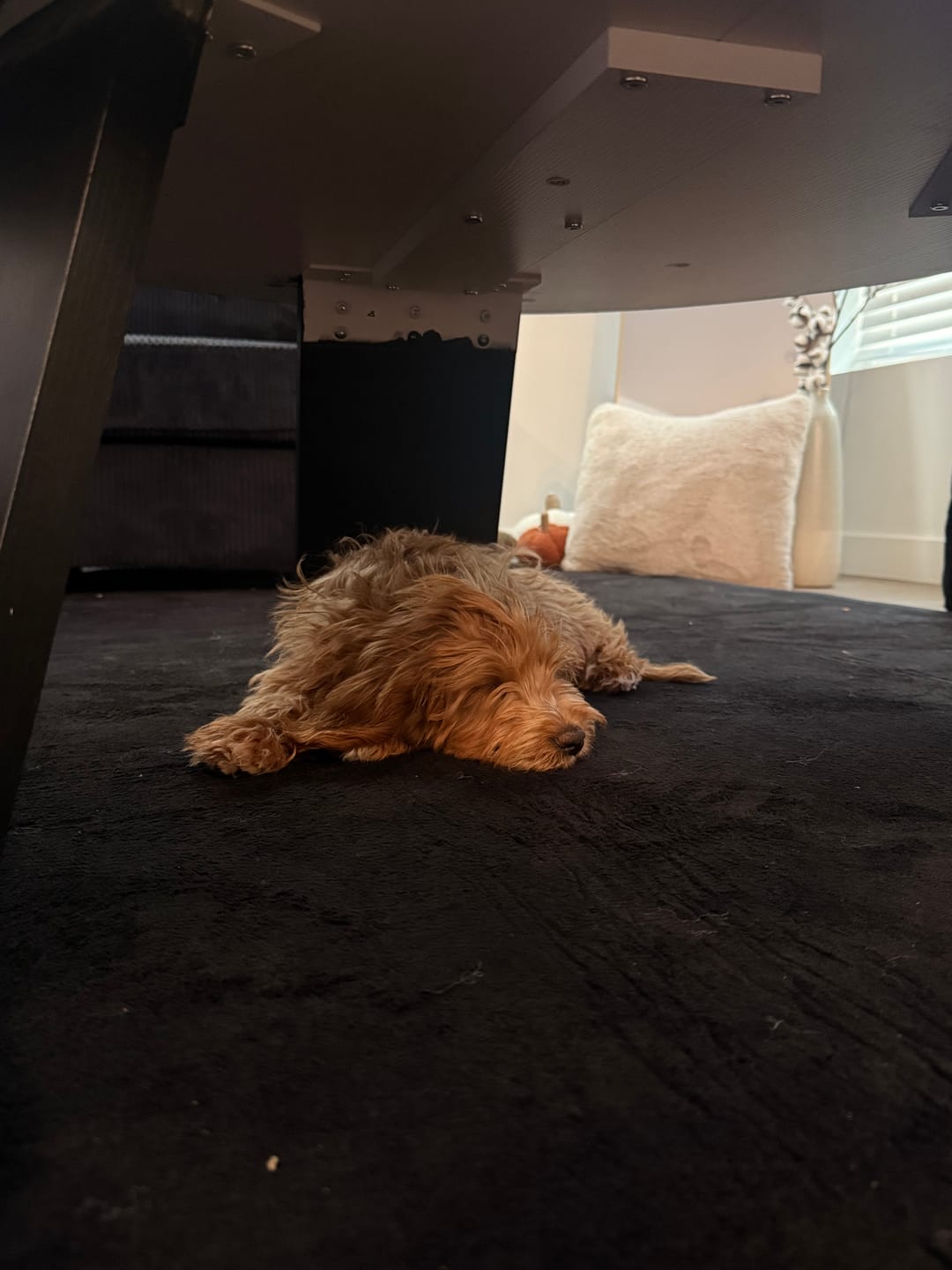 Customer photo review of Relax Mat - 1.4" Thick Soft Foam Play Mat