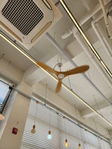 Customer photo review of 36/42/52/60-Inch Ceiling Fan with Six Speeds, No Light