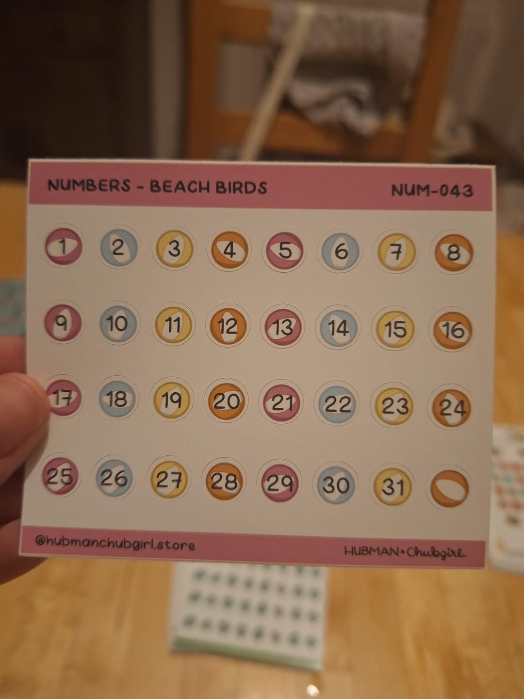 Customer photo review of Numbers - Beach Birds Planner Stickers