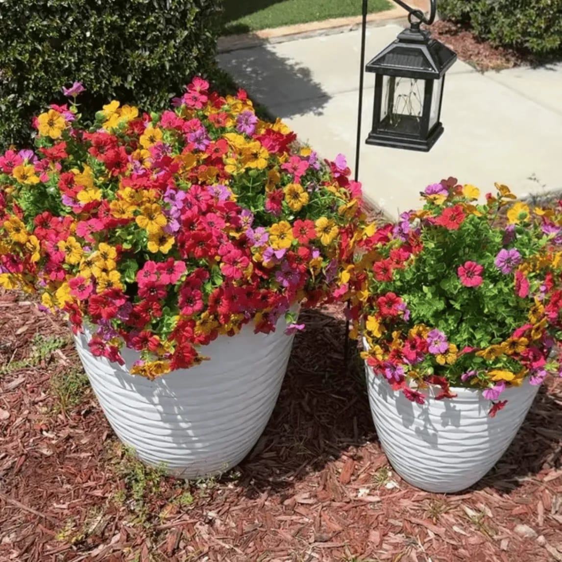 Customer photo review of 💥Last Day 50% OFF💐Outdoor Artificial Flower Decoration