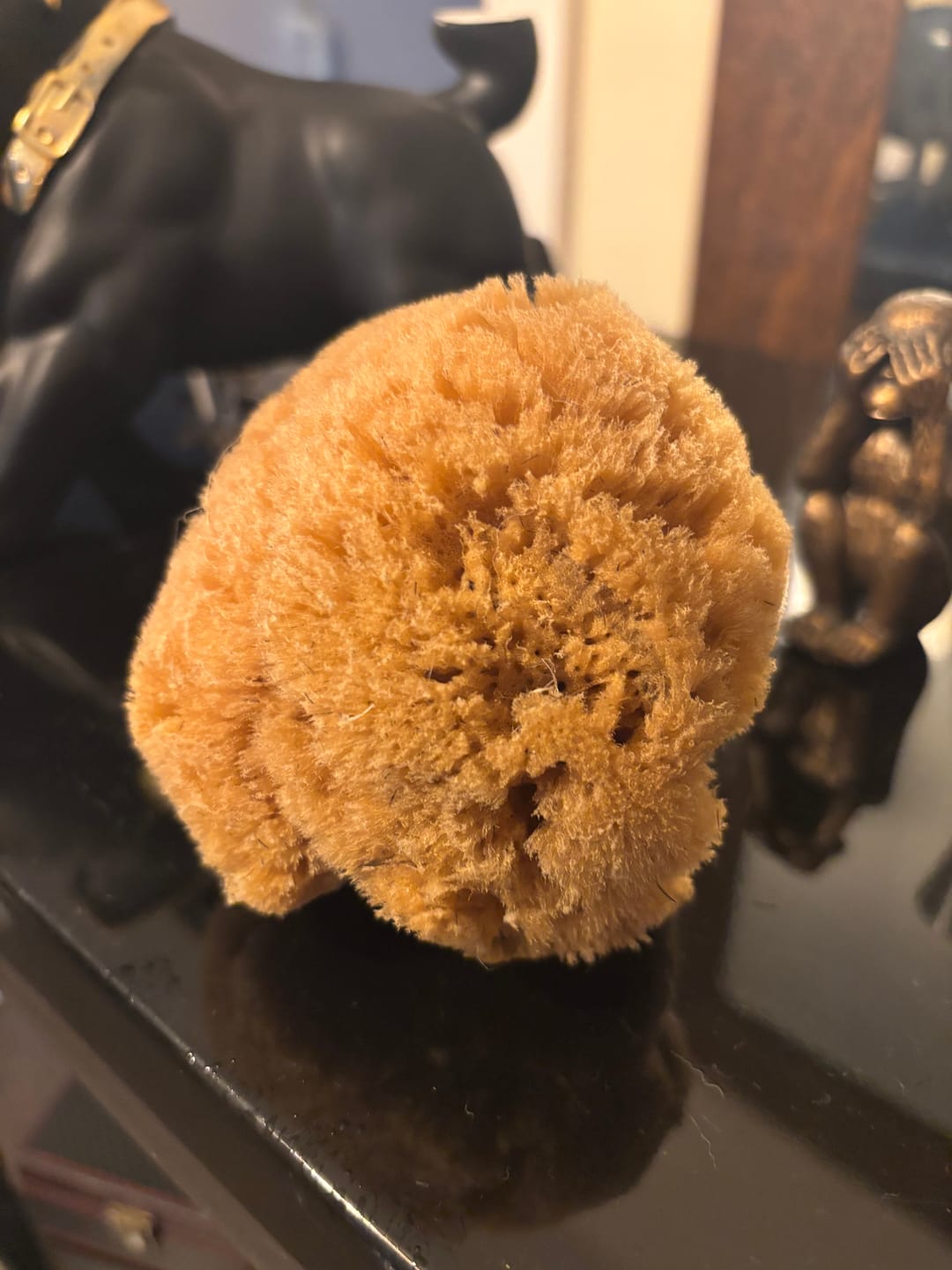 Customer photo review of Bath & Shower Natural Sea Sponges