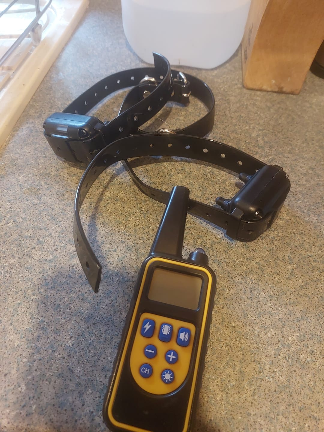 Customer photo review of Remote Training Collar | for All Size Dogs