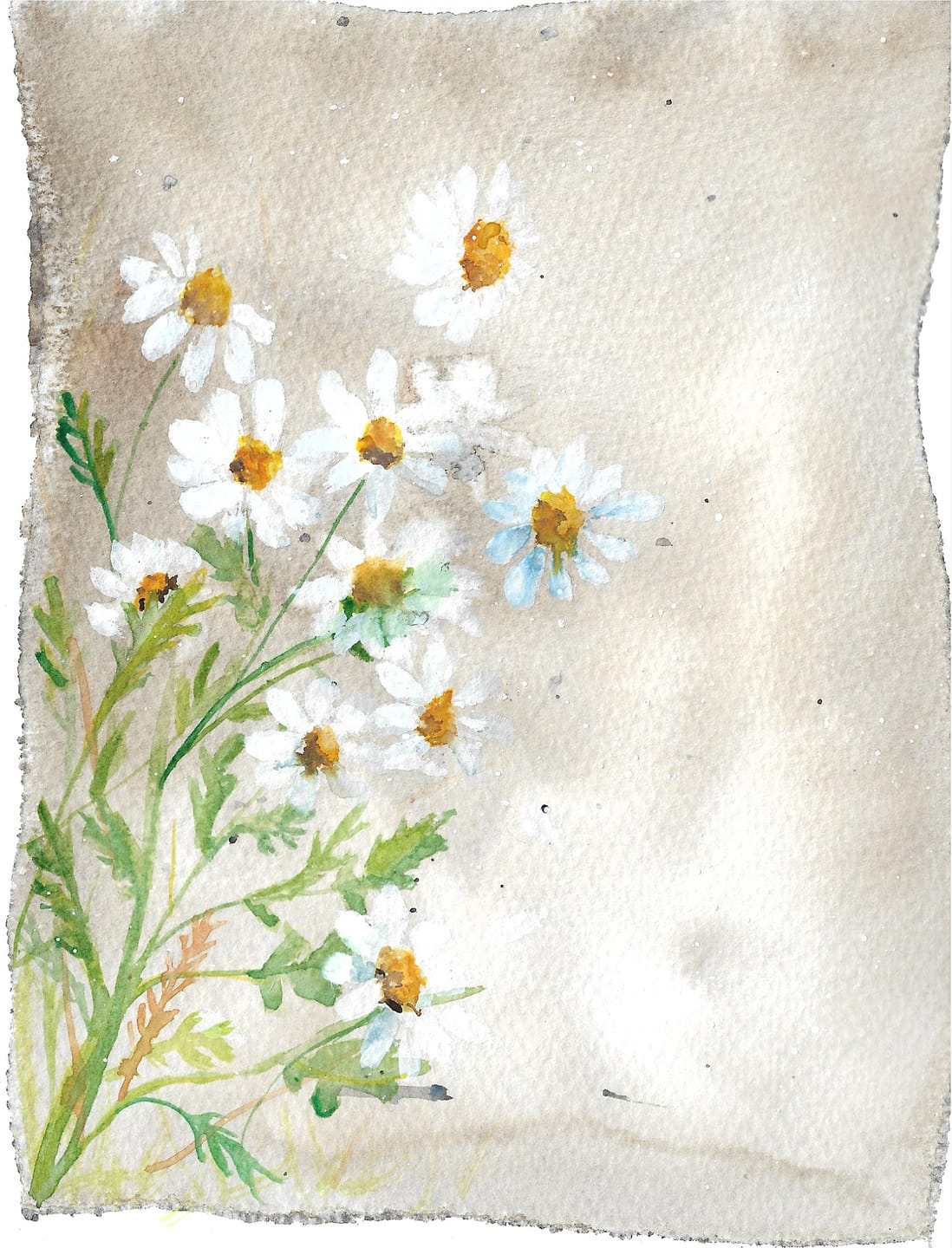 Customer photo review of Giclée Art Print