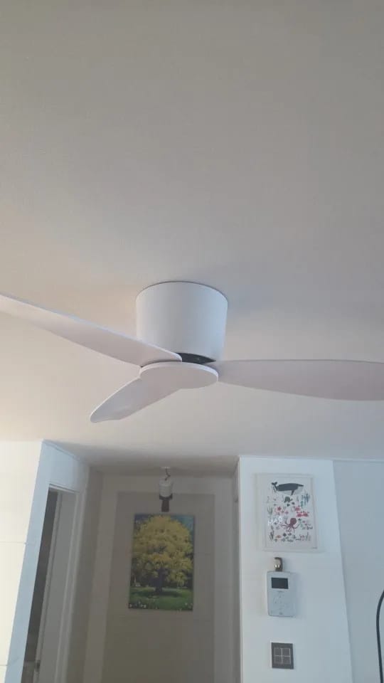 Customer photo review of 36/44/52-Inch Low-Profile Ceiling Fan with Remote Control
