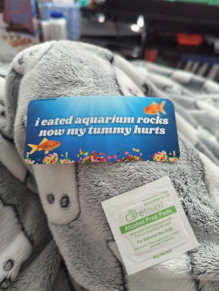 Customer photo review of i eated aquarium rocks, now my tummy hurts