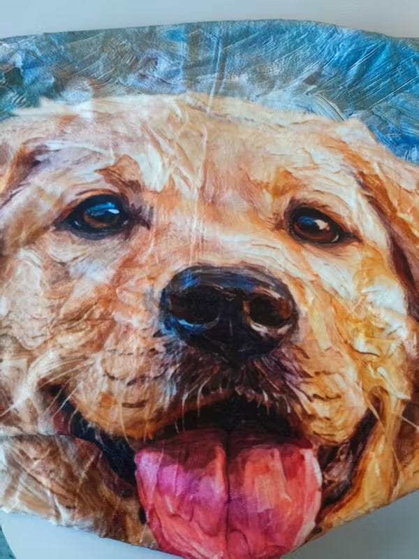 Customer photo review of Personalized Oil Painting Style Pet Photo Soft Throw Blanket with Name Home Decor Birthday Pet Memorial Gift for Pet Lovers