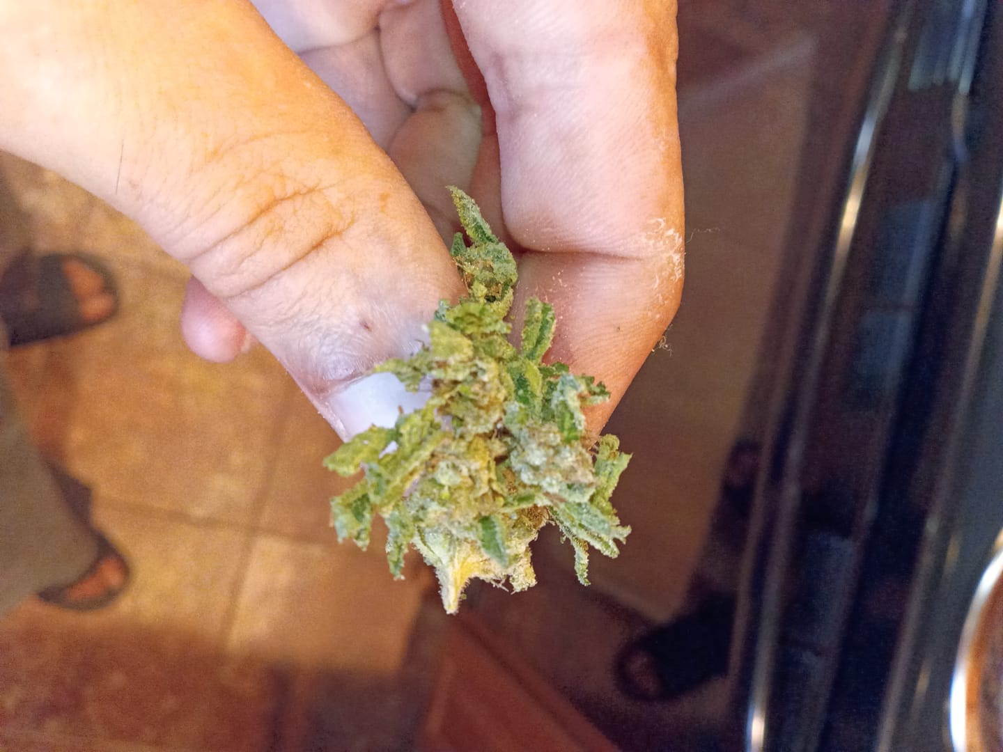 Customer photo review of Bulk THCA Smalls