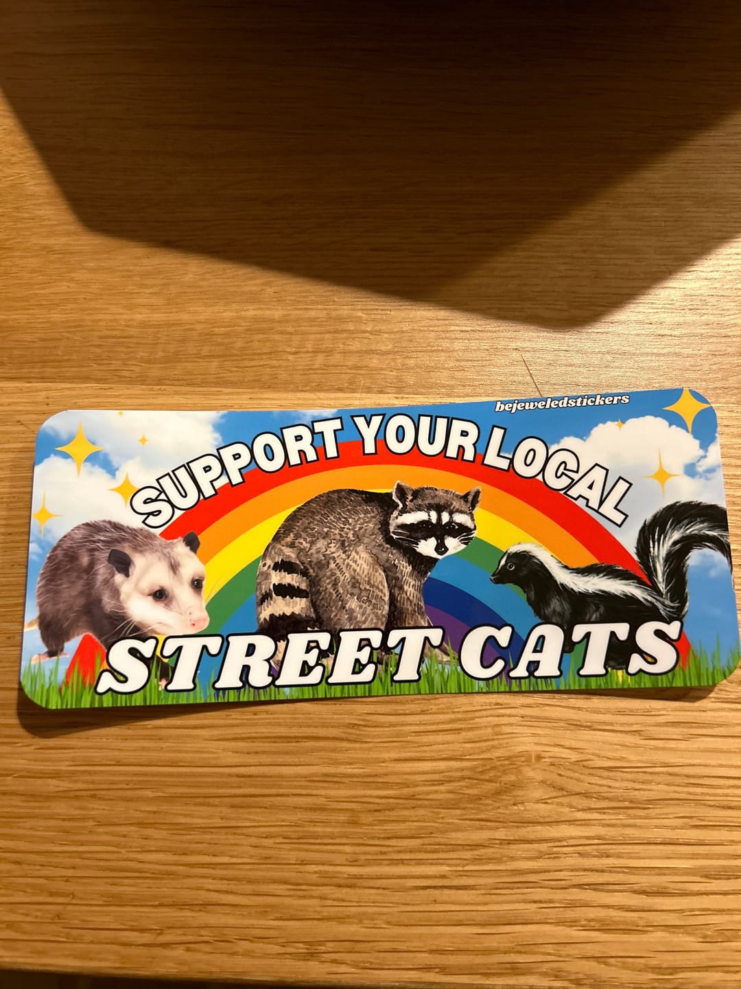 Customer photo review of Support Your Local Street Cats