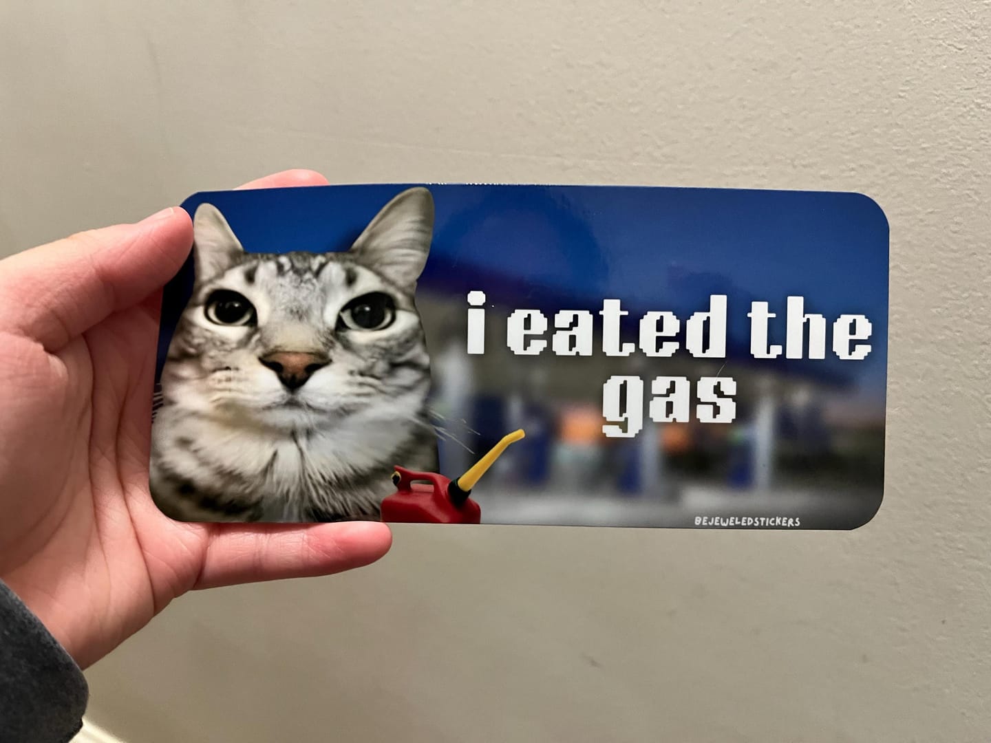 Customer photo review of i eated the gas / customizable text