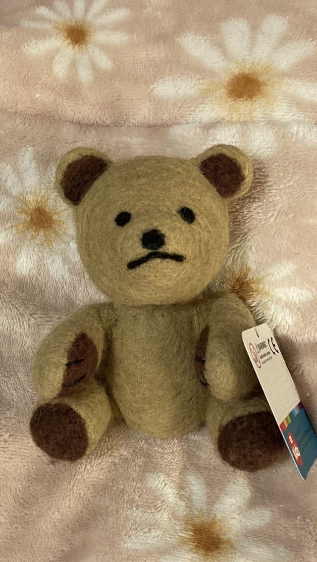 Customer photo review of ABC Play School - Felt Little Ted Toy
