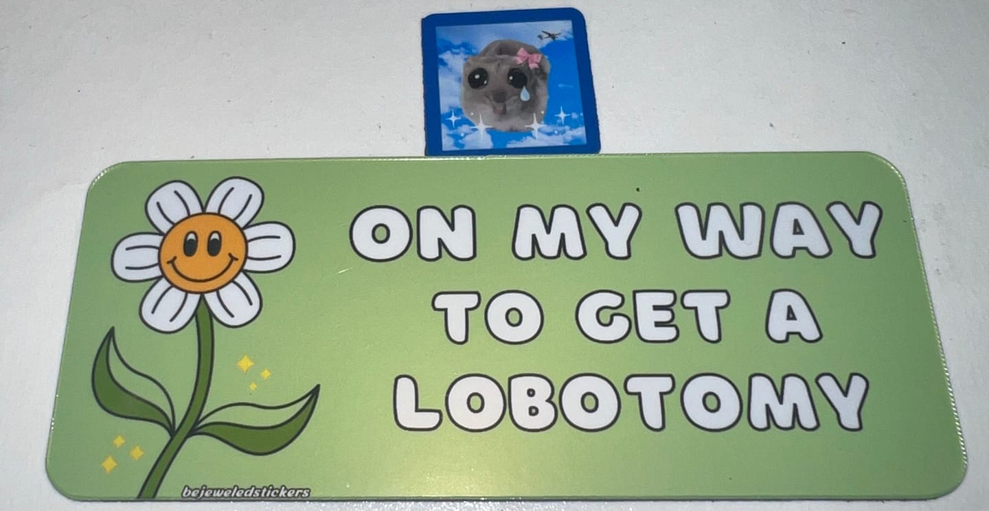 Customer photo review of On My Way To Get A Lobotomy