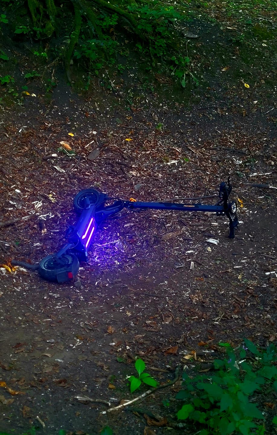 Customer photo review of Ausom L2 Max Dual Motor E-scooter