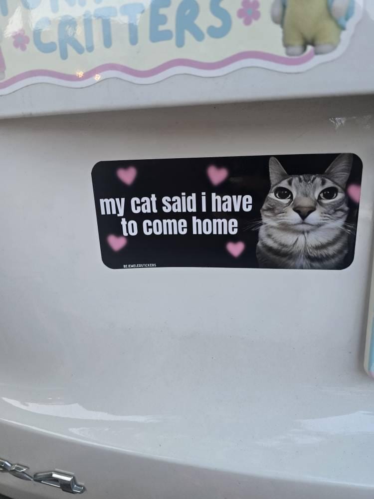 Customer photo review of my cat said i have to come home / customizable text