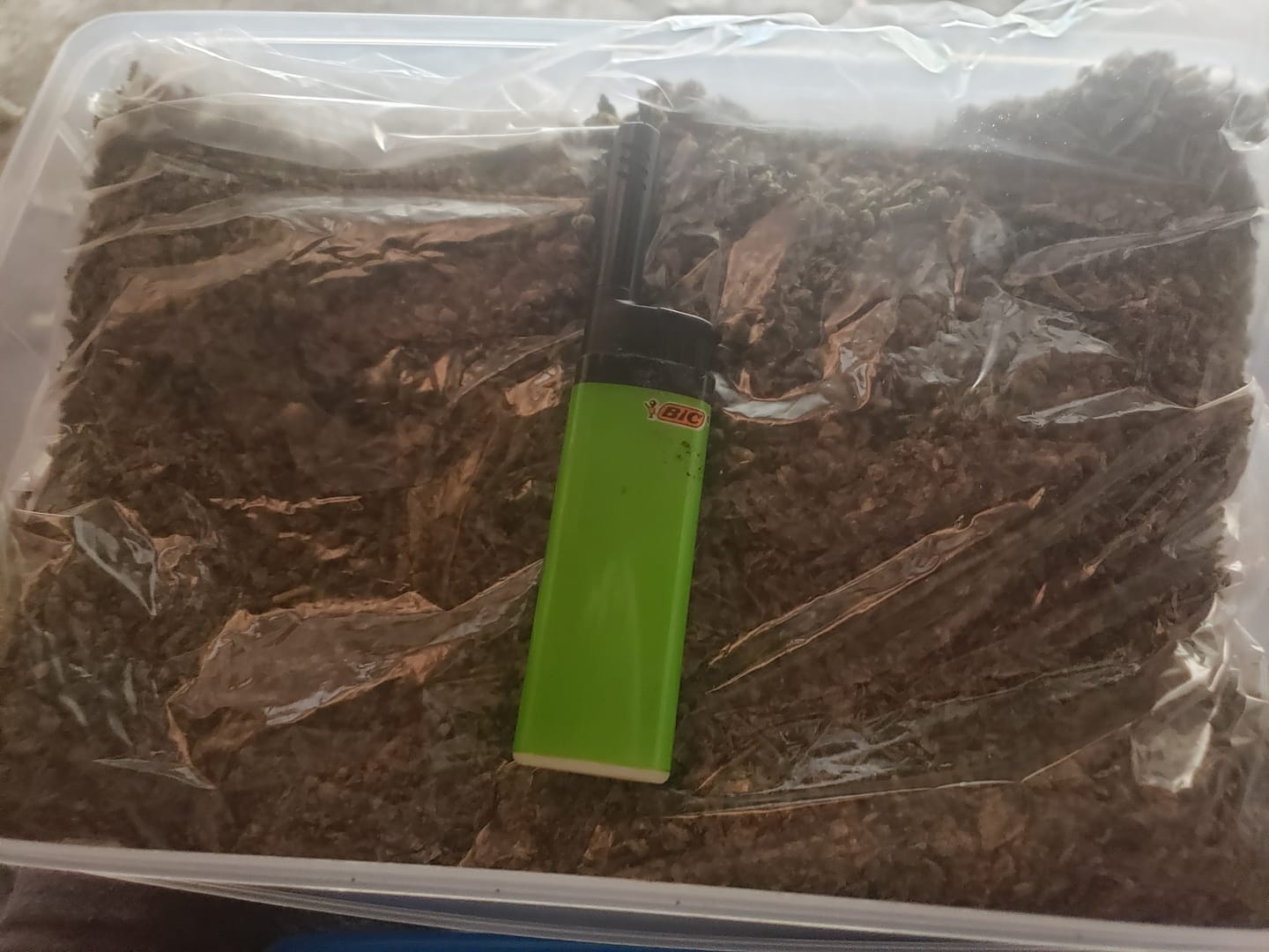 Customer photo review of No4. Purple Cream THCa Shake (Wholesale)