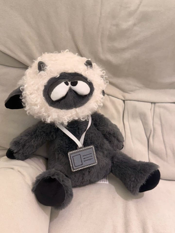 Customer photo review of Robin Sheep