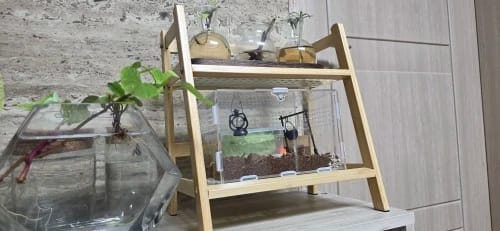 Customer photo review of 2-Layer Bamboo Countertop Organizer Coffee Cup Holder for Kitchen & Home