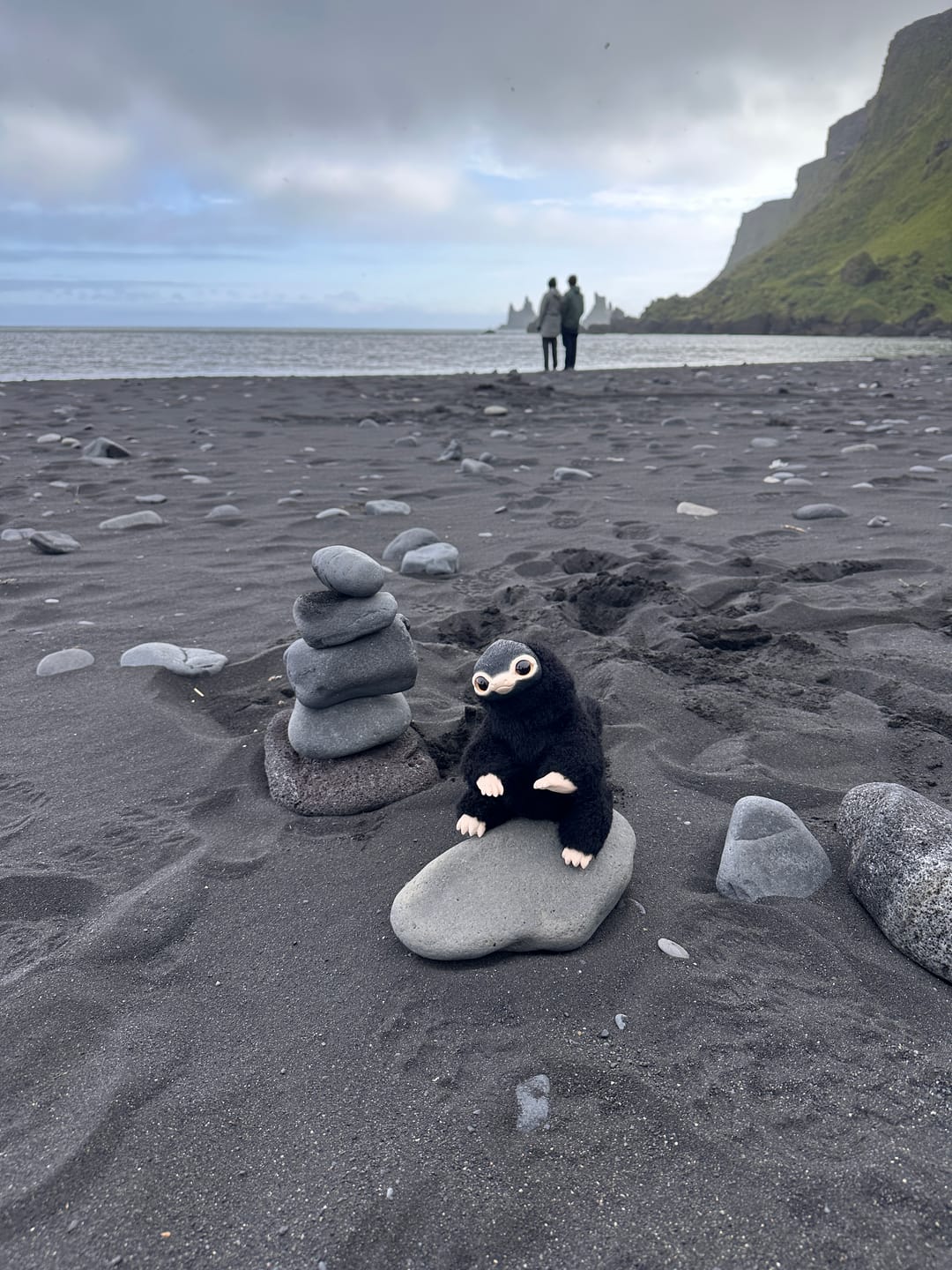 Customer photo review of Fairy Platypus - black