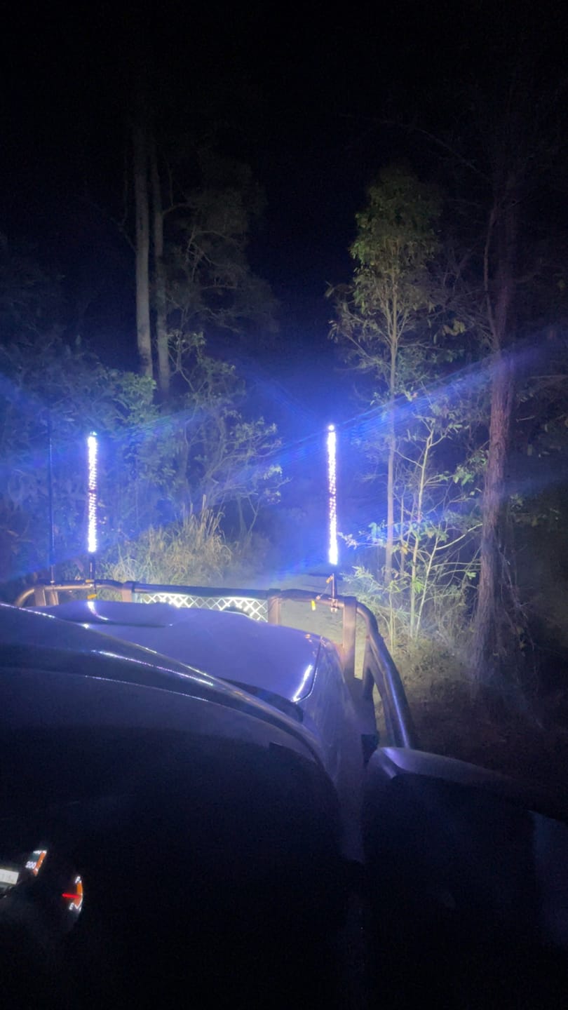 Customer photo review of 3ft LED Whip Lights