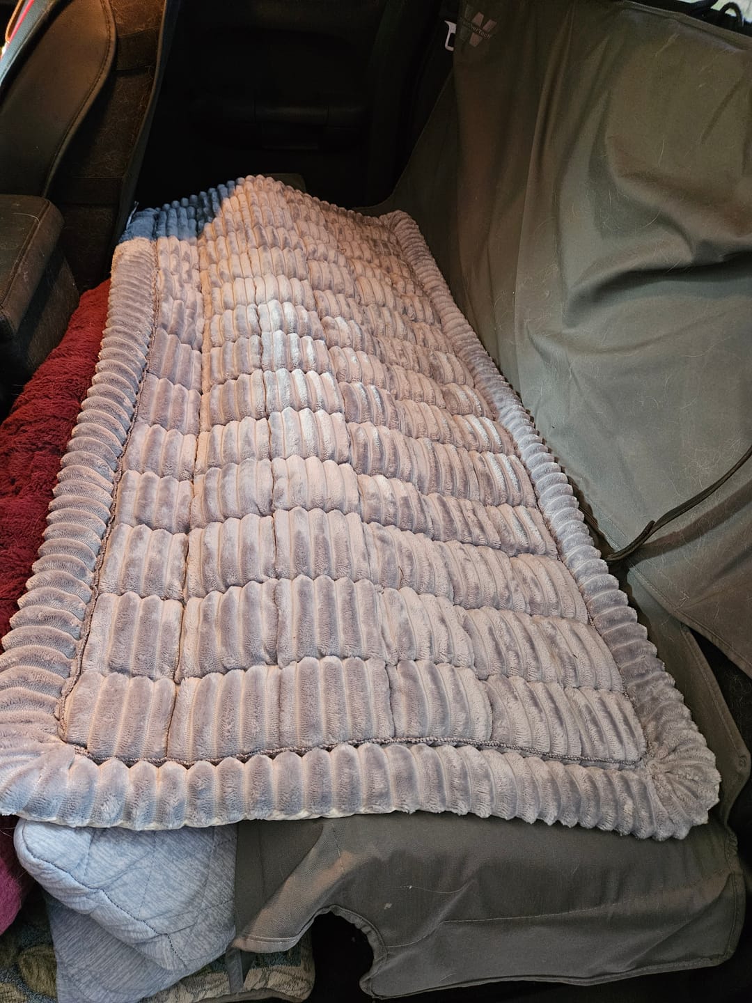 Customer photo review of Thickened Dog Bed for Car Back Seat & Couch