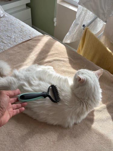 Customer photo review of FurEase™
