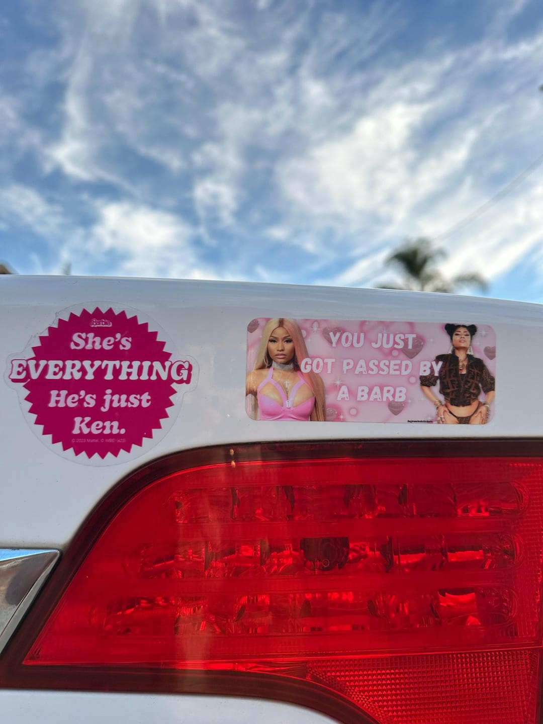 Customer photo review of You Just Got Passed By a Barb | Nicki Minaj