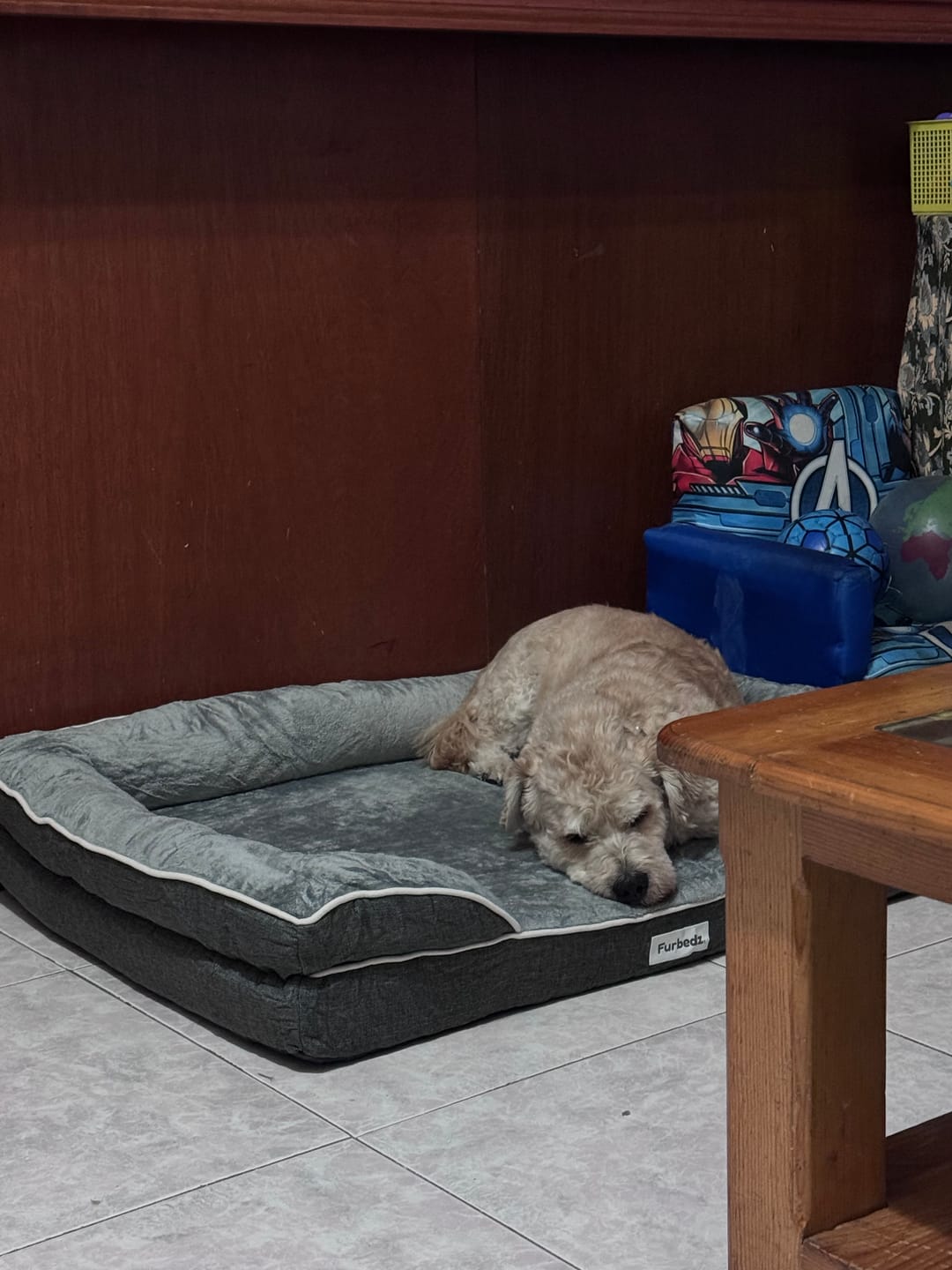 Customer photo review of Cama Ortopédica para Perros