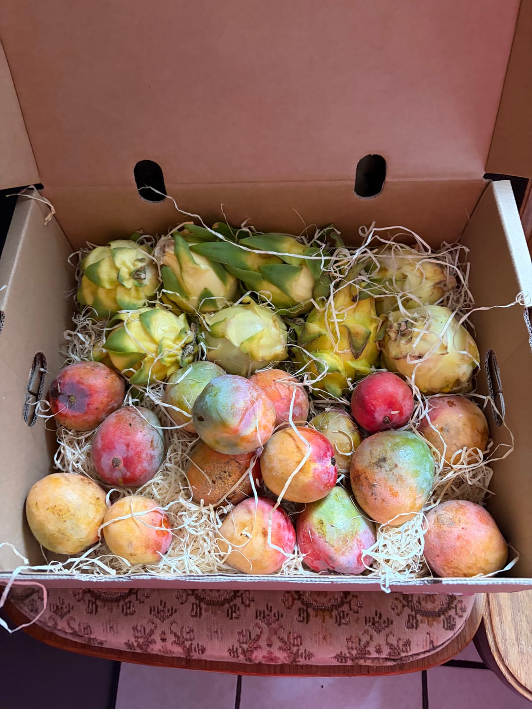 Customer photo review of Mini-Mango Tropigold von Antonio Aktionspreis %