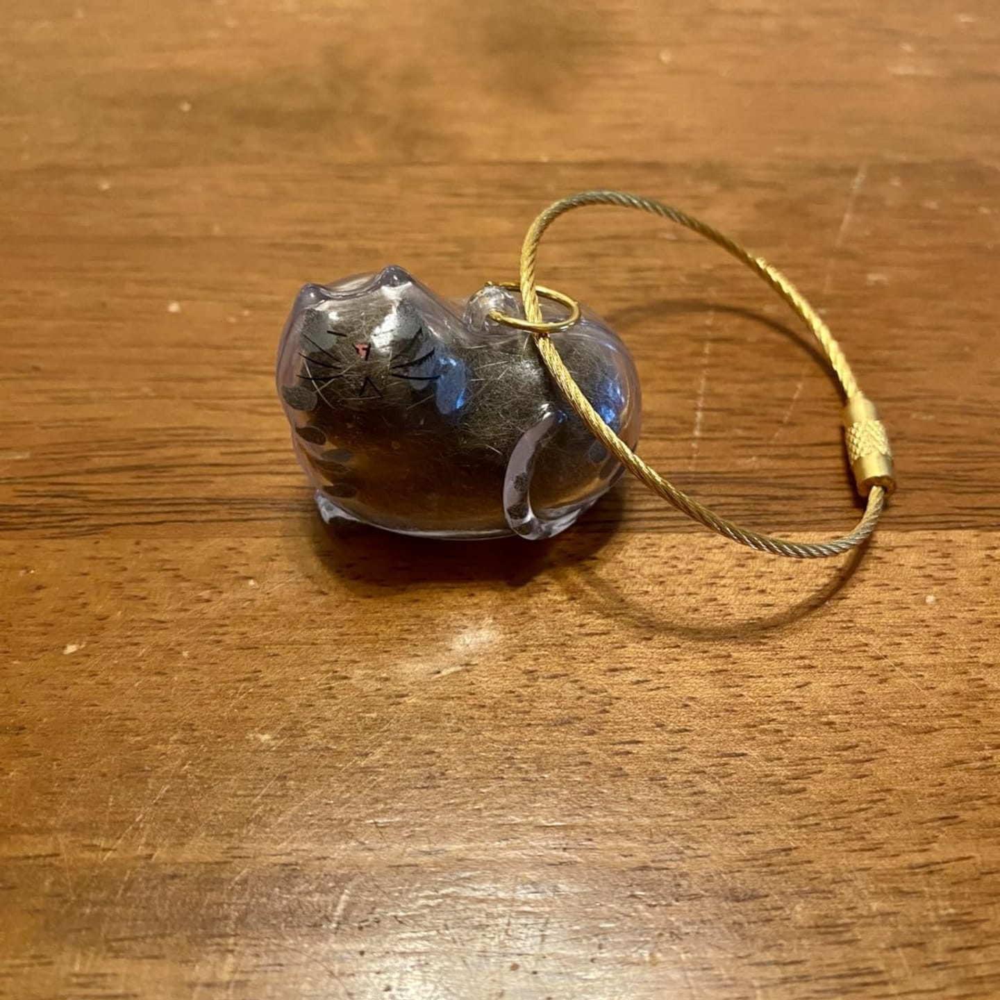 Customer photo review of Llavero para guardar pelo de mascota