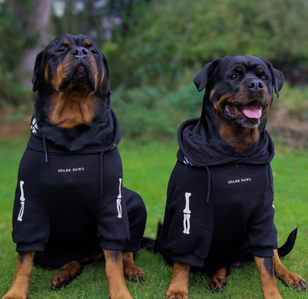 Customer photo review of Halloween Dog Hoodie - Reflective Skeleton (2)