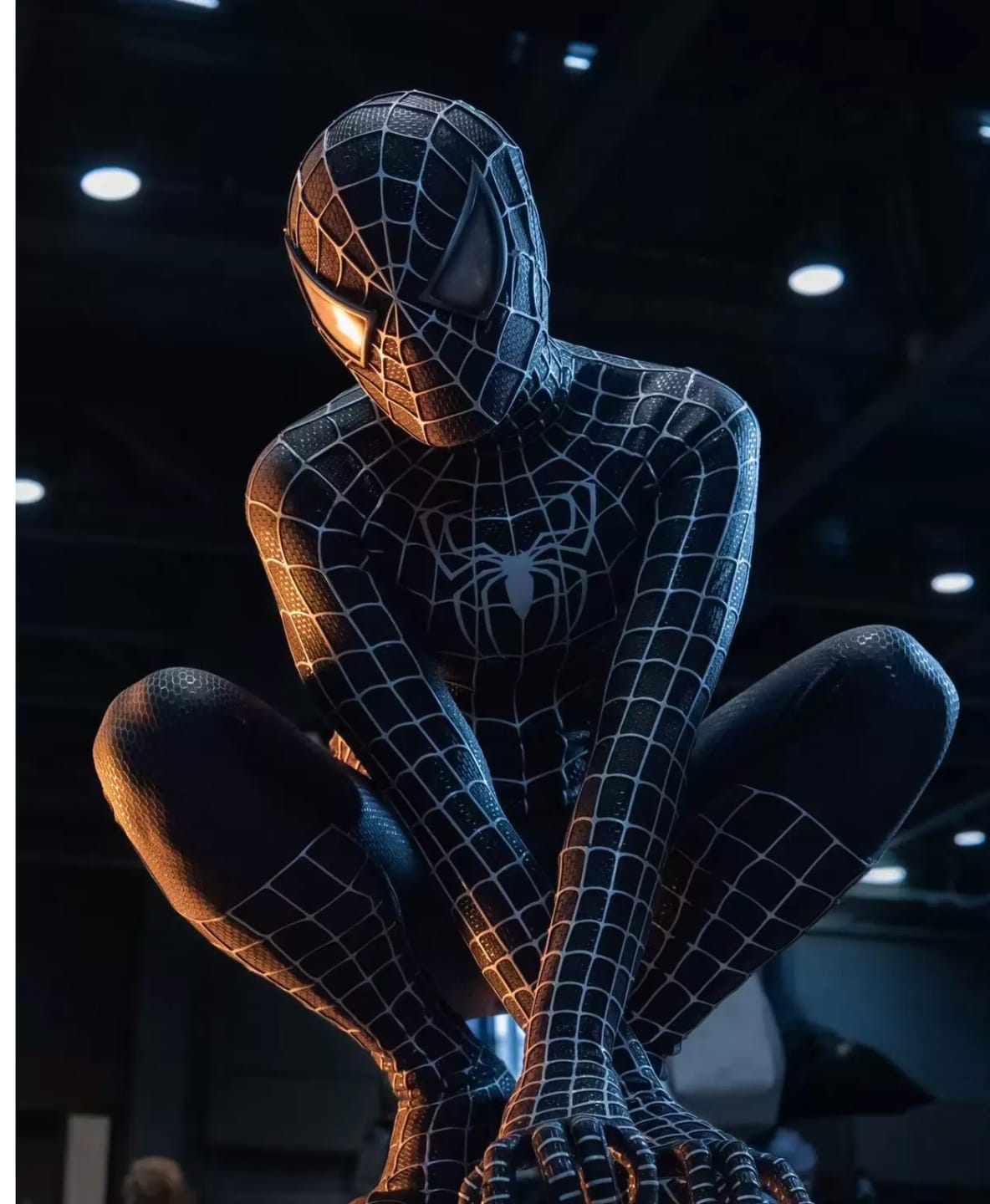 Customer photo review of Tailor made!  Sam Raimi Spiderman 3 Symbiote Suit (Replica Grade)(Screen Printed)