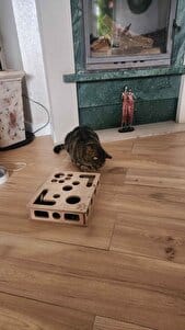Customer photo review of Sugenza™ Kedi Tırnak Törpüleme & Oyun Kutusu