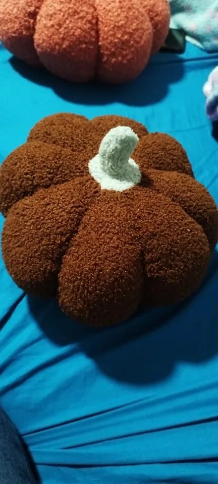 Customer photo review of Plush Seat Cushion Cute Pumpkin Throw Pillow Super Soft Waist Sofa Window Halloween Ornament