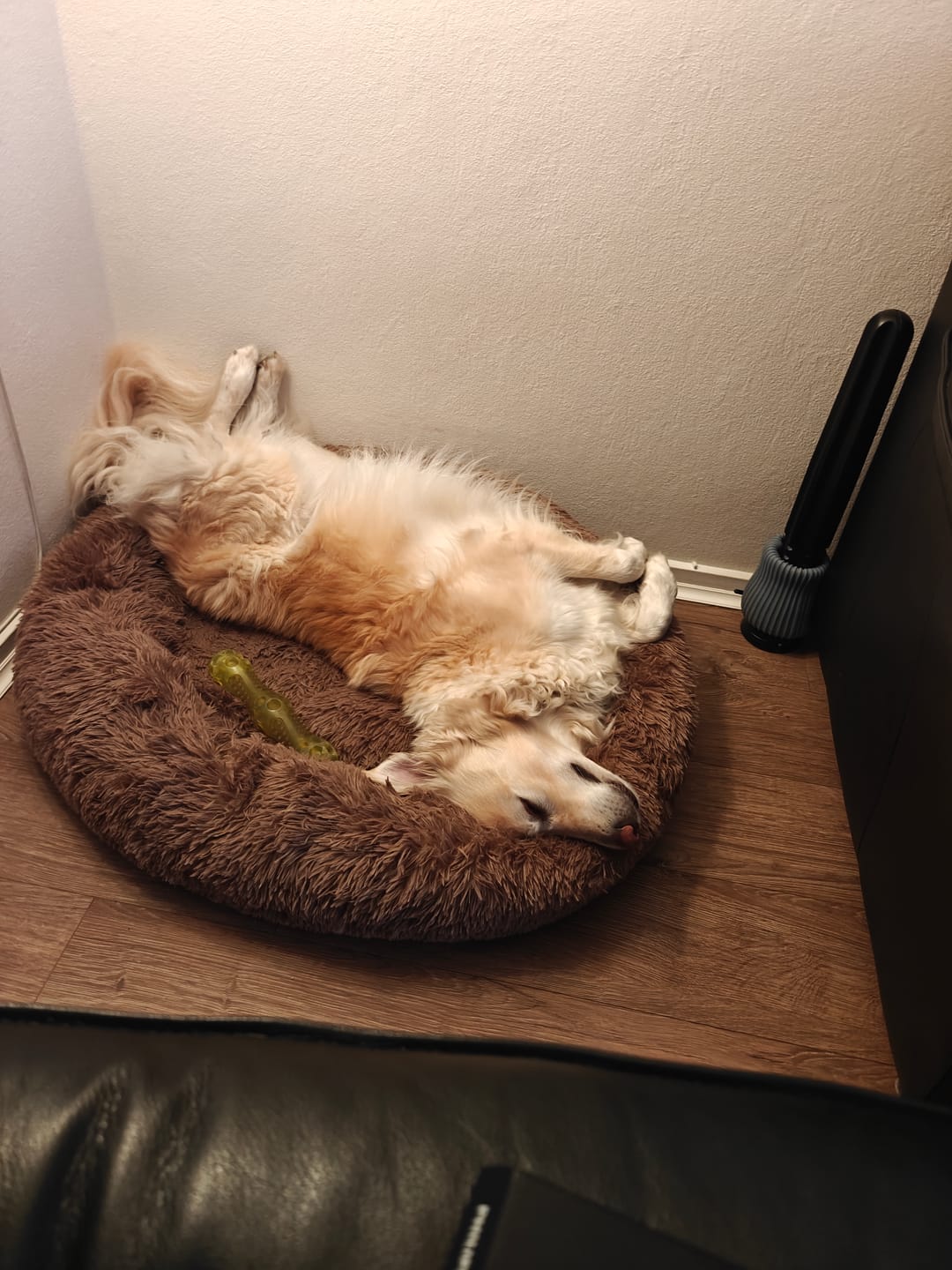 Customer photo review of Fluffy Donut Hundeseng, brun