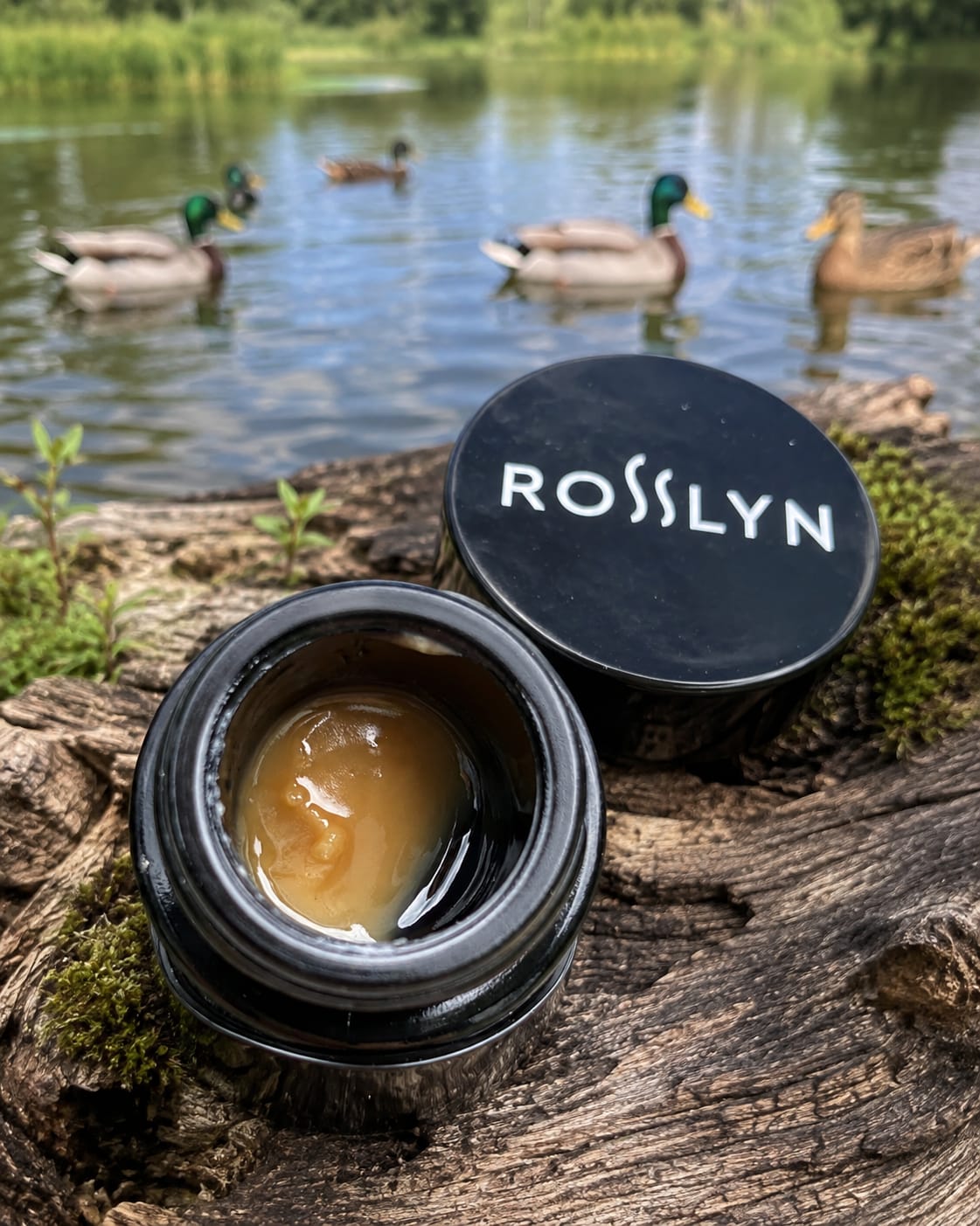 Customer photo review of Jelly Rancher (Craft Wash)