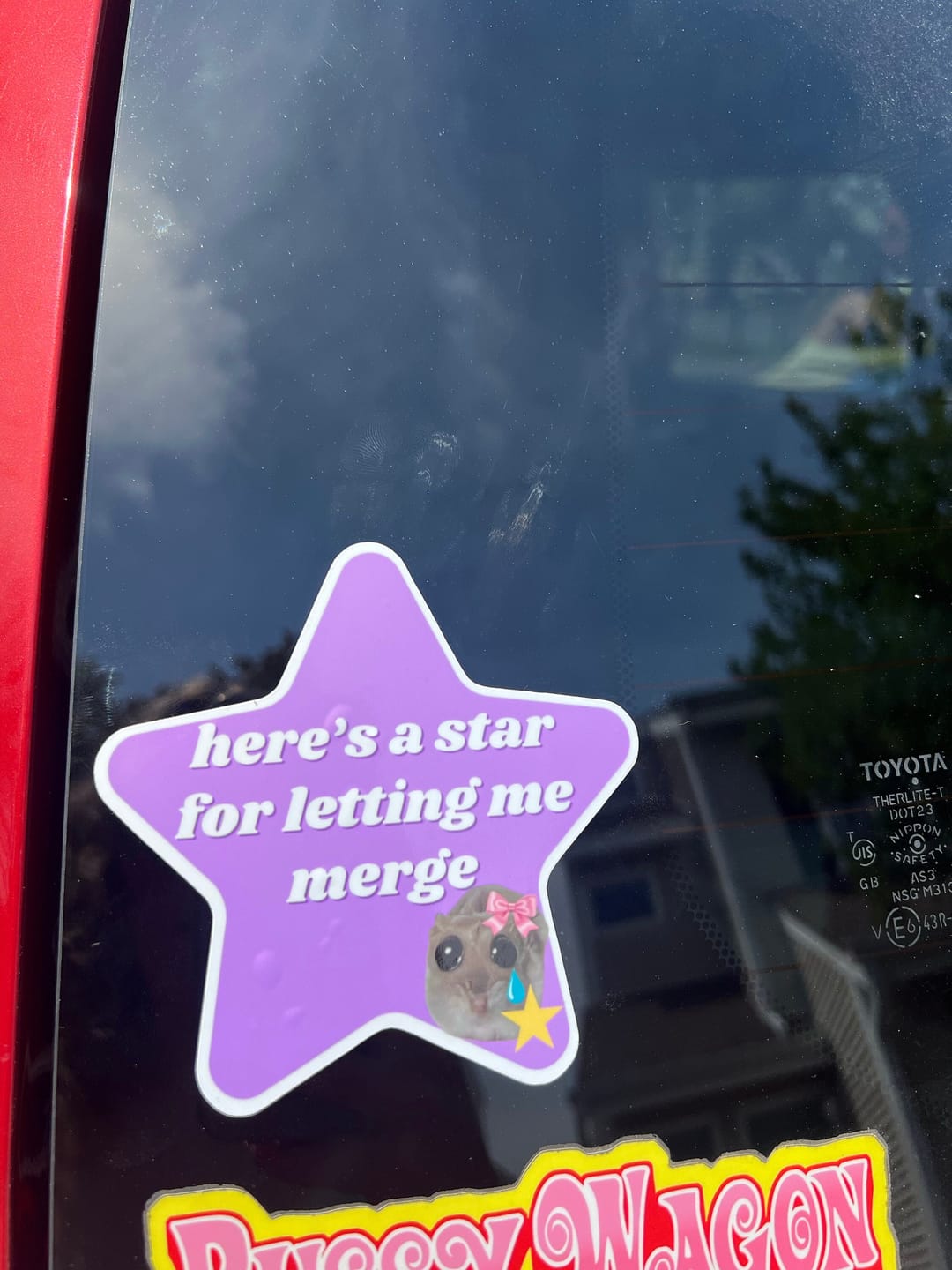Customer photo review of here's a star for letting me merge hamster