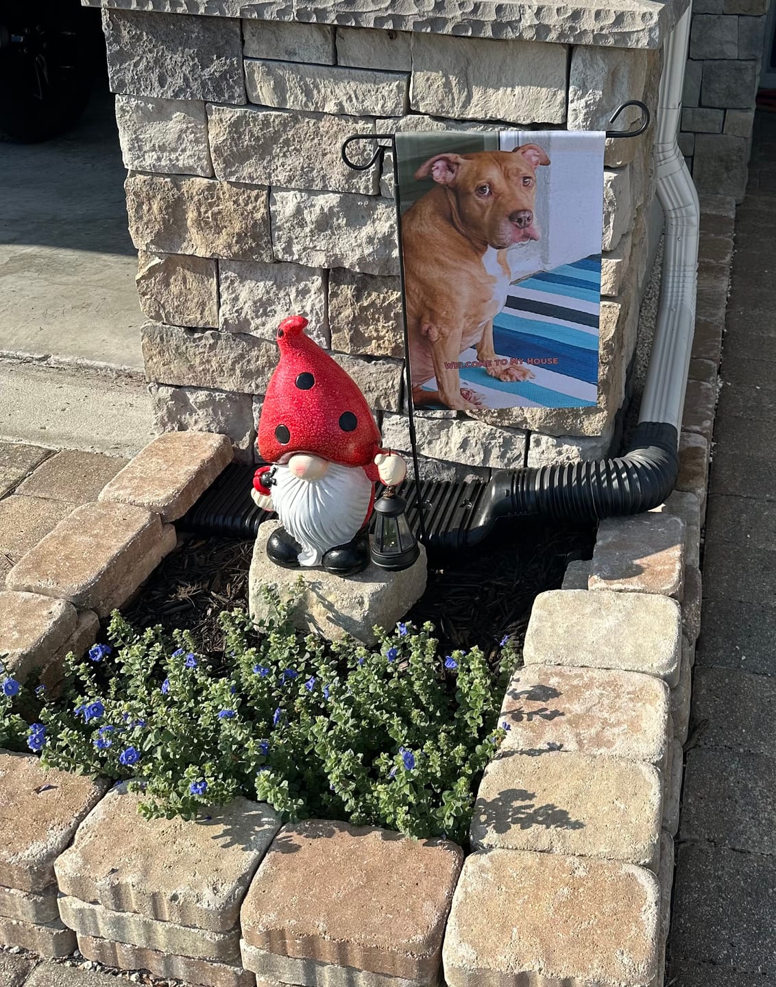 Customer photo review of Your Photo - Personalized Garden Flag