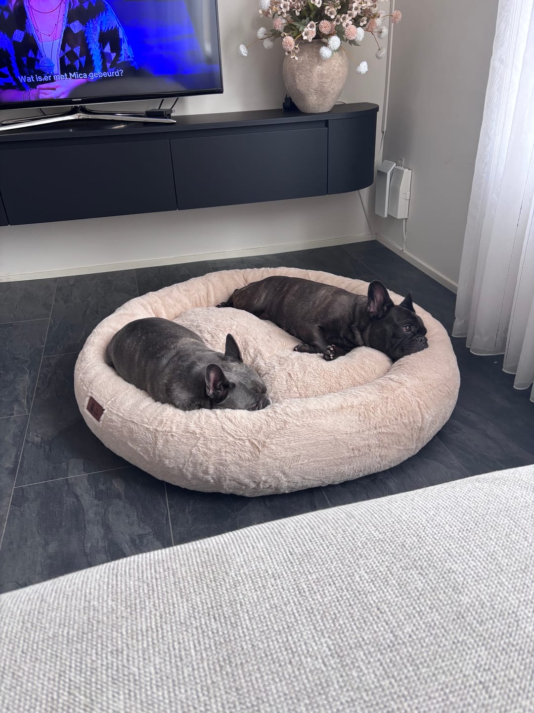 Customer photo review of Pet Perfect Orthopedische Donutmand