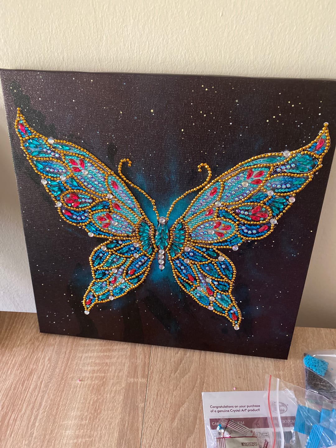 Customer photo review of Sapphire Flight Canvas Kit 30x30cm