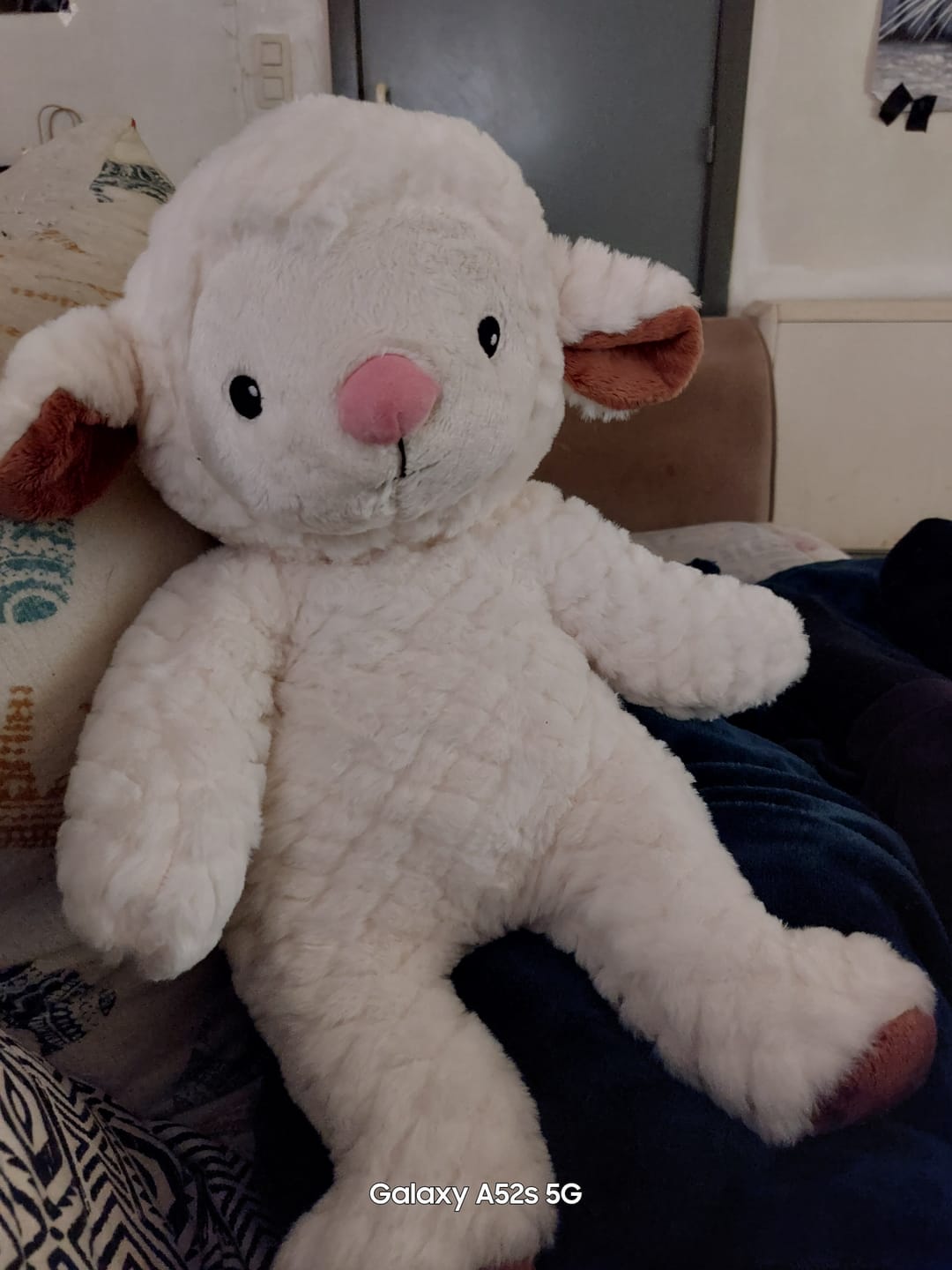 Customer photo review of Lotgenootje Schaap 2kg