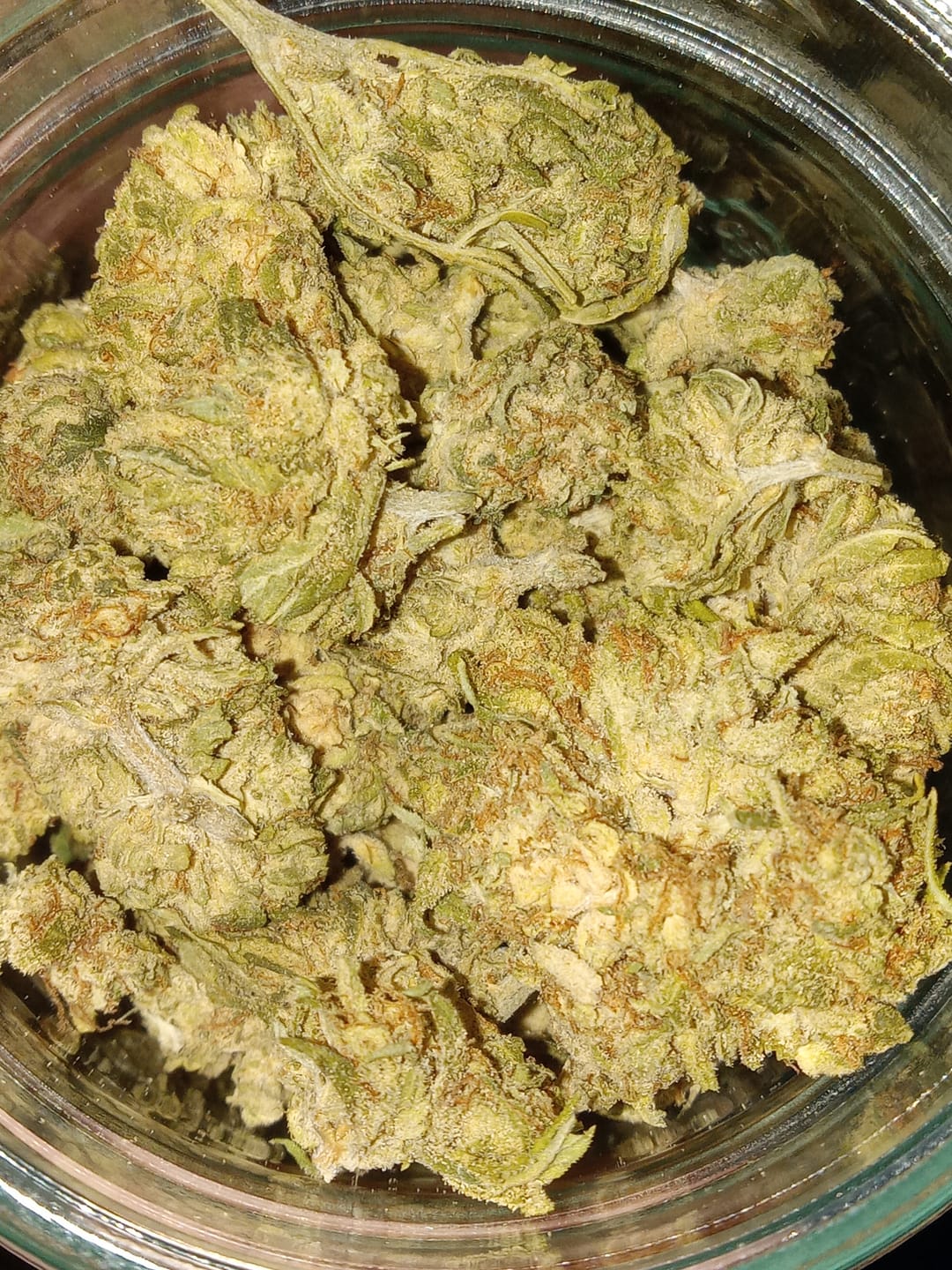 Customer photo review of Secret Weapons - Greenhouse Smalls