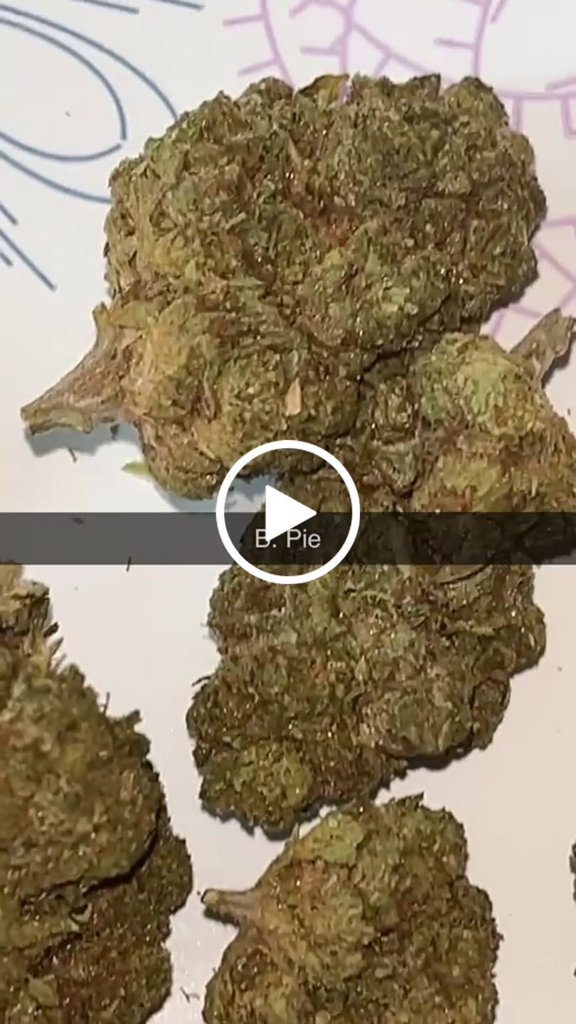 Customer video review of Bulk THCA Flower Pounds