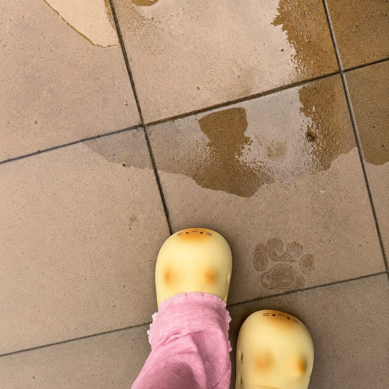 Customer photo review of Mimiu™ Ultra-Light Paw Print Clogs