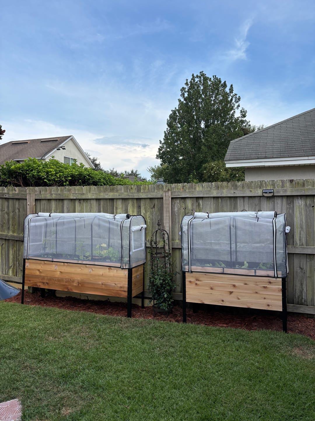 Customer photo review of 18″ x 72″ Deep Root Raised Garden Bed - 30″ TALL / Select Grade