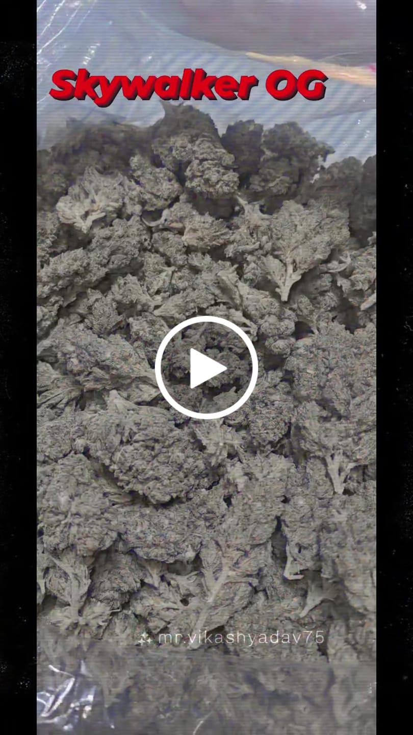 Customer video review of Skywalker OG THCA Flower
