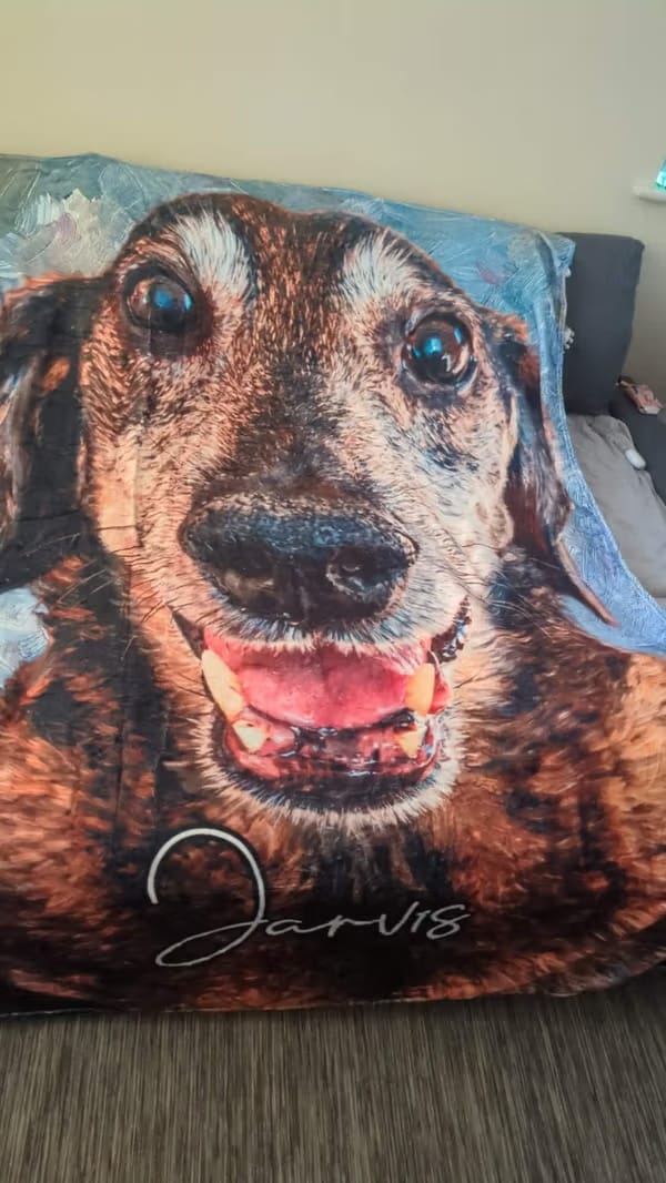 Customer photo review of Personalized Oil Painting Style Pet Photo Soft Throw Blanket with Name Home Decor Birthday Pet Memorial Gift for Pet Lovers