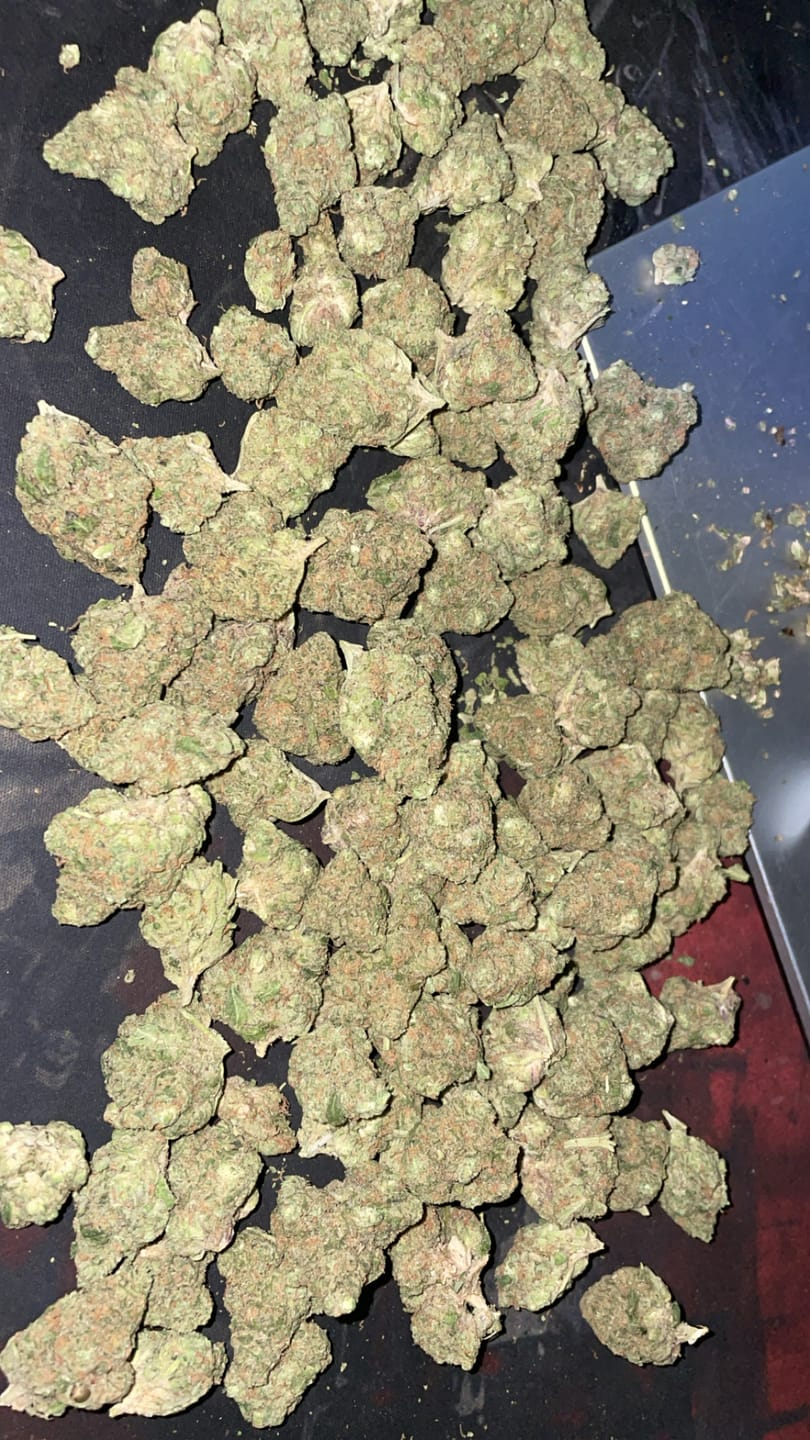 Customer photo review of Black Ice THCA Flower Ounce (28g)