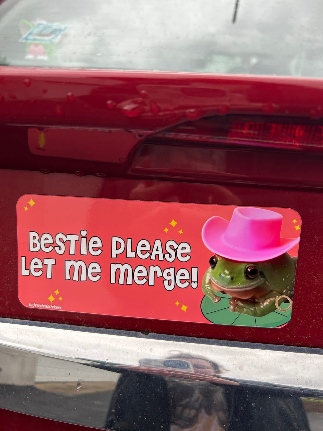 Customer photo review of Bestie Please Let Me Merge!