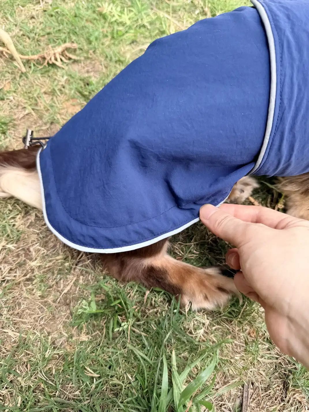 Customer photo review of Waterproof Raincoat