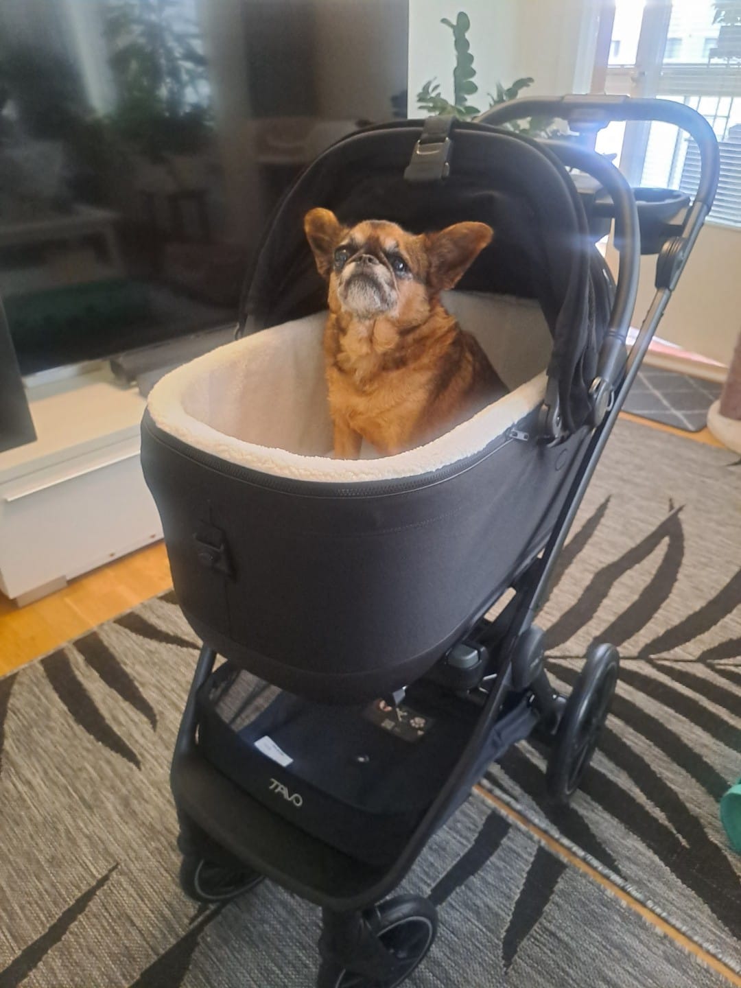 Customer photo review of Maeve ISO6X Travel System - Lemmikkirattaat