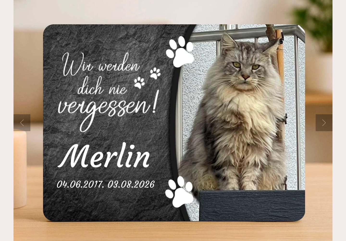 Customer photo review of Katzen Gedenktafel mit Foto & Spruch (UV- & Wetterfest)
